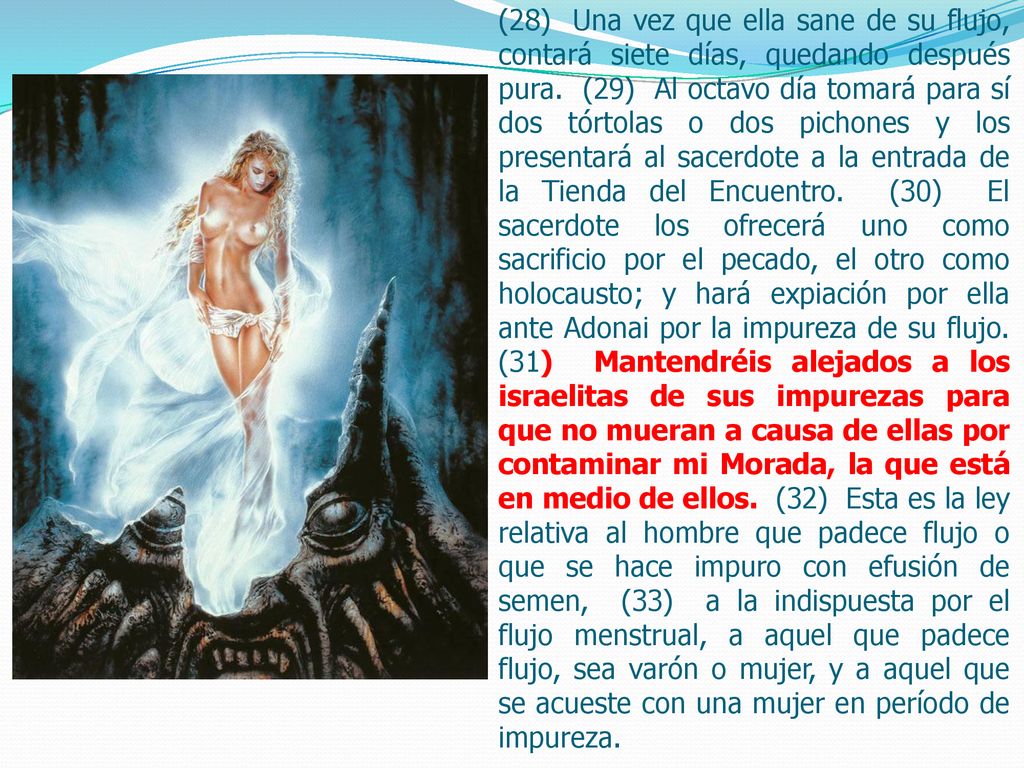 (28) Una vez que ella sane de su flujo, contará siete días, quedando después pura.