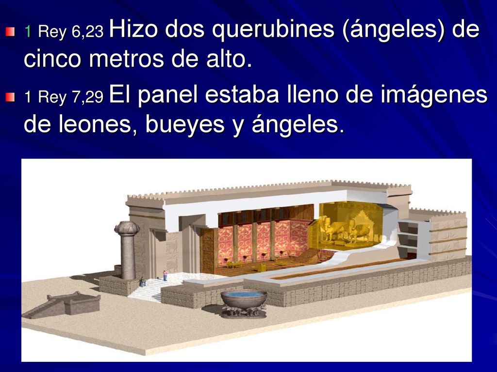 1 Rey 6,23 Hizo dos querubines (ángeles) de cinco metros de alto.