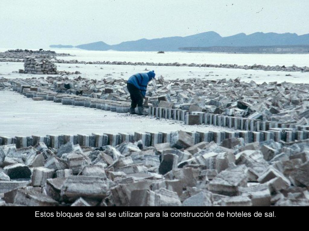 Estos bloques de sal se utilizan para la construcción de hoteles de sal.