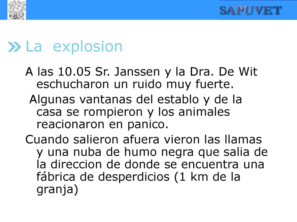 La explosion A las Sr. Janssen y la Dra. De Wit eschucharon un ruido muy fuerte.