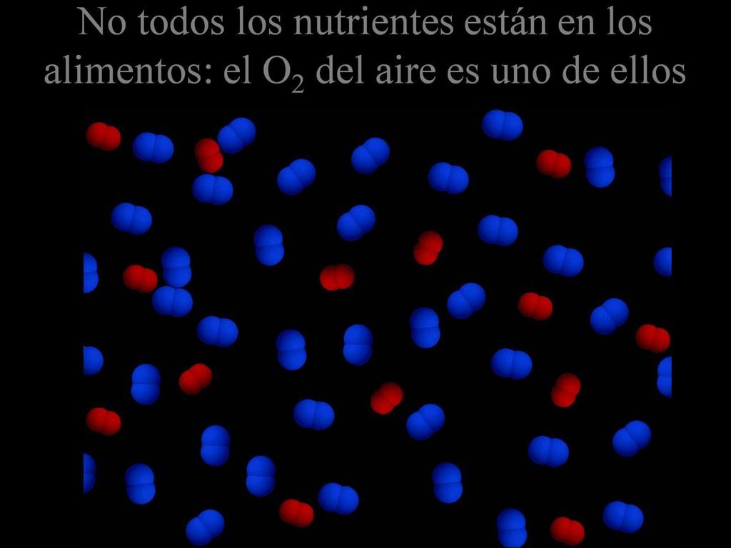 No todos los nutrientes están en los alimentos: el O2 del aire es uno de ellos