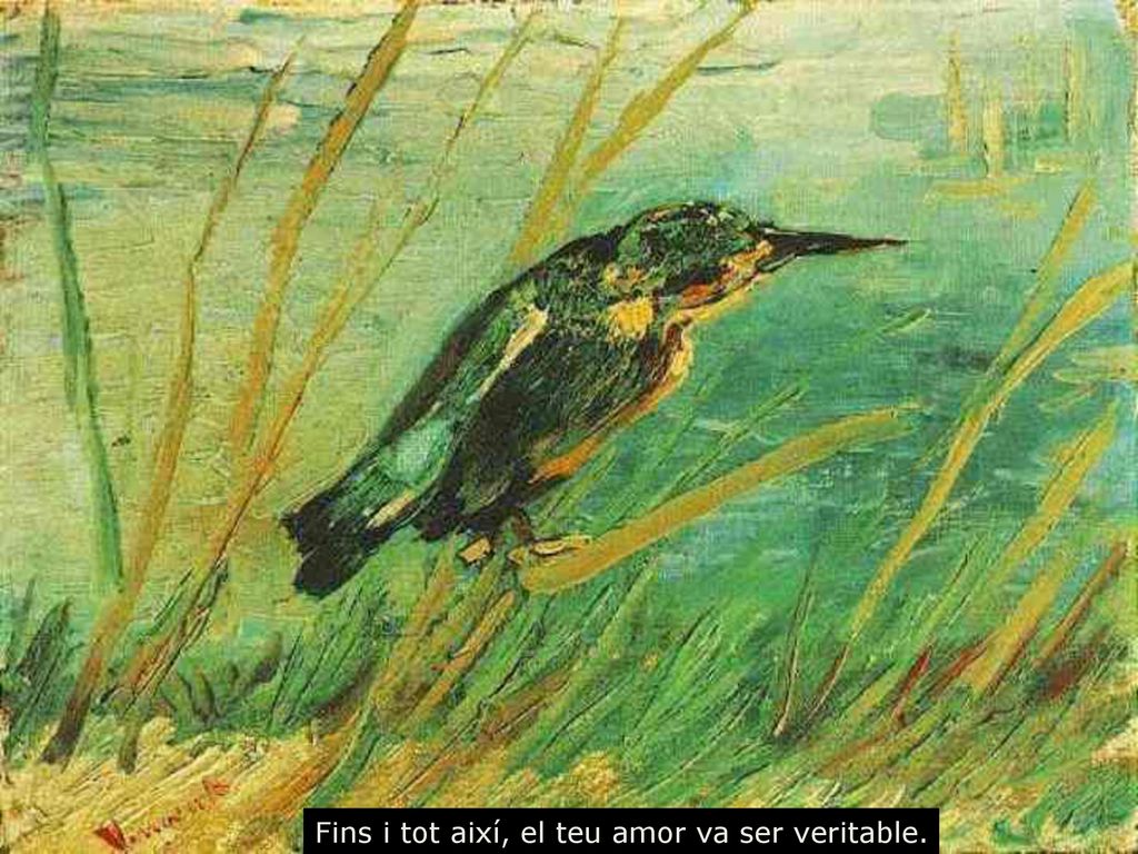Fins i tot així, el teu amor va ser veritable.