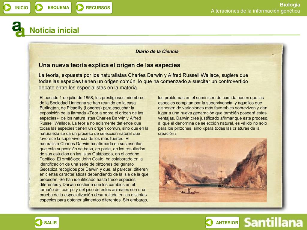 Noticia inicial Una nueva teoría explica el origen de las especies