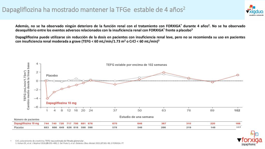 Dapagliflozina ha mostrado mantener la TFGe estable de 4 años2
