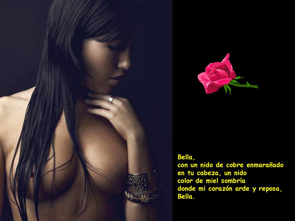 Bella, con un nido de cobre enmarañado en tu cabeza, un nido color de miel sombría donde mi corazón arde y reposa, Bella.