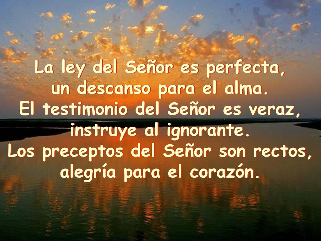 La ley del Señor es perfecta, un descanso para el alma.