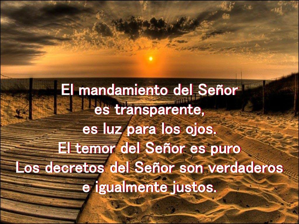 El mandamiento del Señor es transparente, es luz para los ojos.