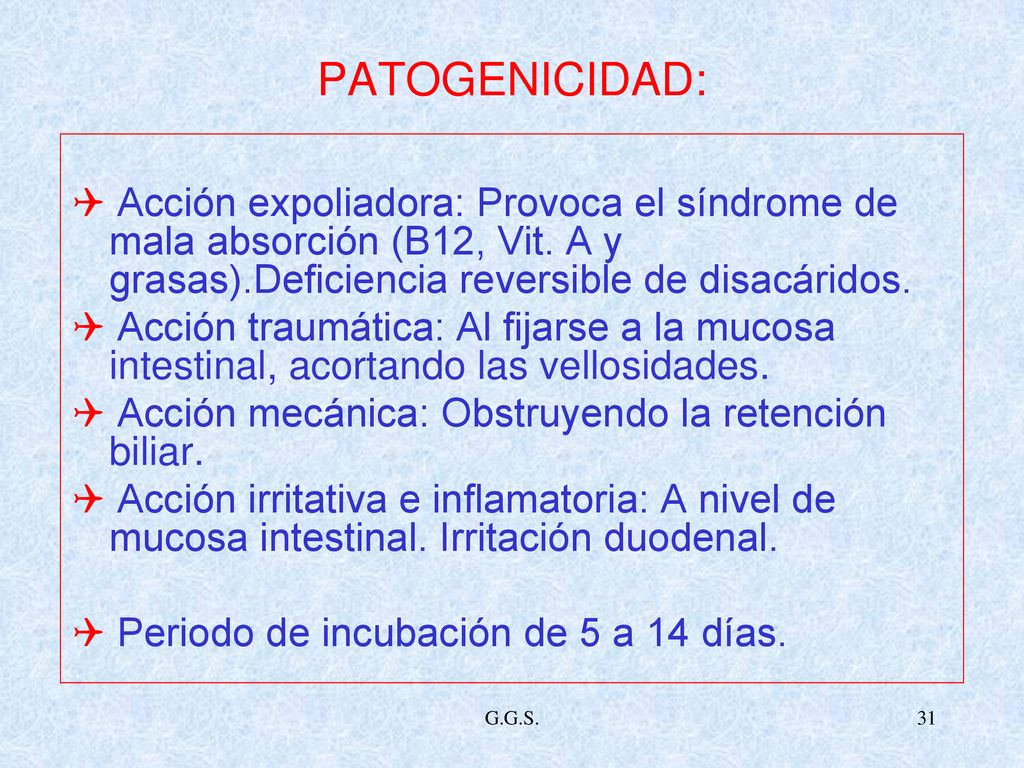 PATOGENICIDAD:  Acción expoliadora: Provoca el síndrome de mala absorción (B12, Vit. A y grasas).Deficiencia reversible de disacáridos.