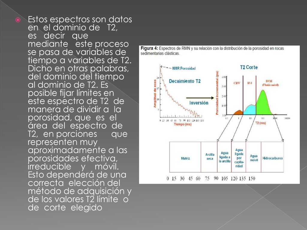 Estos espectros son datos en el dominio de T2, es decir que mediante este proceso se pasa de variables de tiempo a variables de T2.