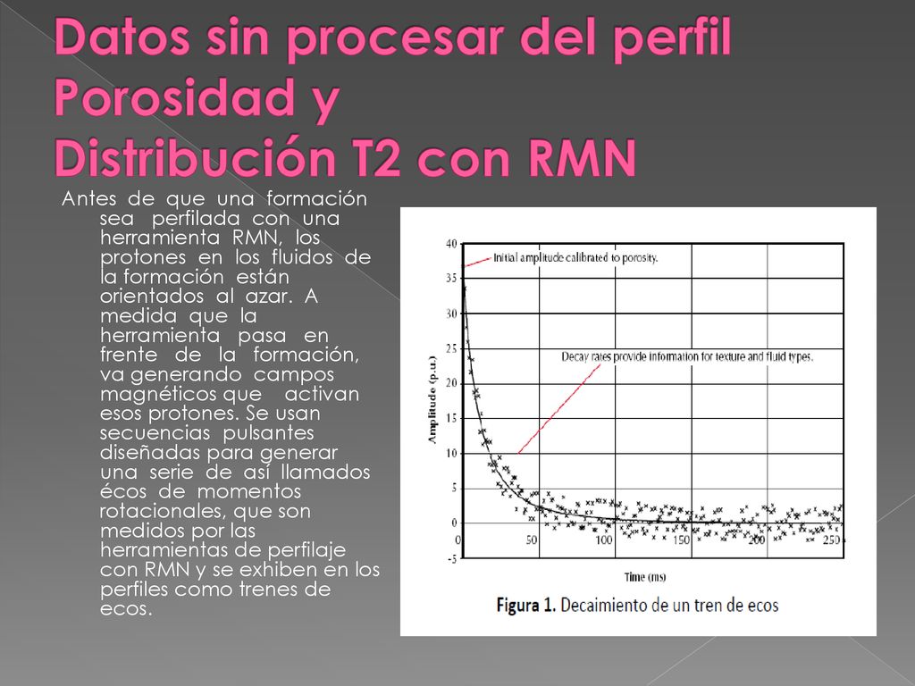 Datos sin procesar del perfil Porosidad y Distribución T2 con RMN