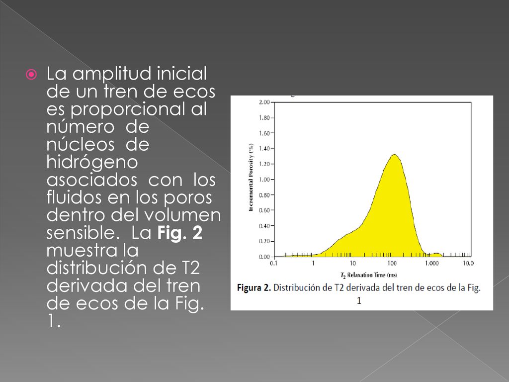 La amplitud inicial de un tren de ecos es proporcional al número de núcleos de hidrógeno asociados con los fluidos en los poros dentro del volumen sensible.