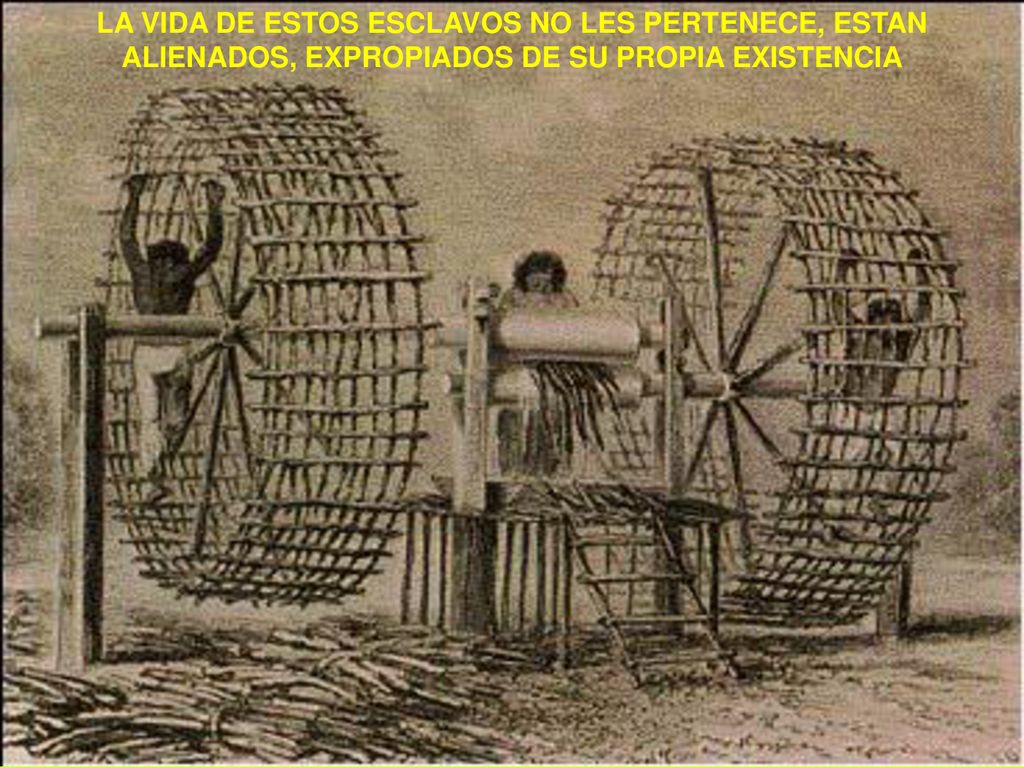 LA VIDA DE ESTOS ESCLAVOS NO LES PERTENECE, ESTAN ALIENADOS, EXPROPIADOS DE SU PROPIA EXISTENCIA