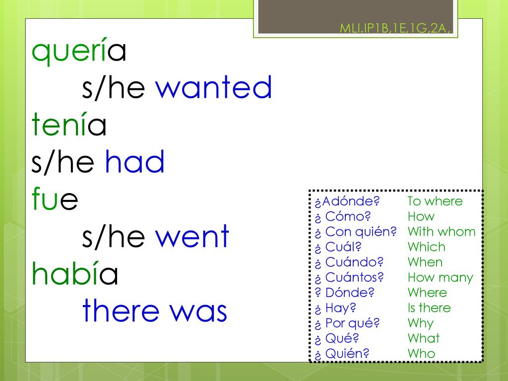 quería s/he wanted tenía s/he had fue s/he went había there was