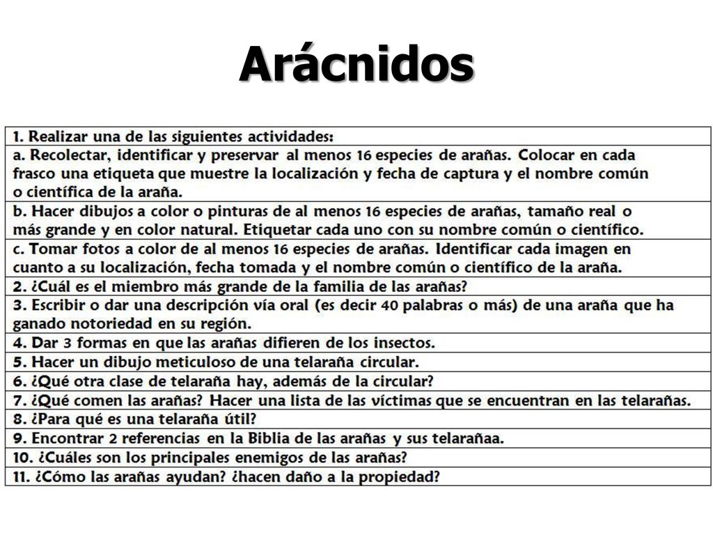 Arácnidos Alistando los requisitos para cualquier especialidad es lo mismo.
