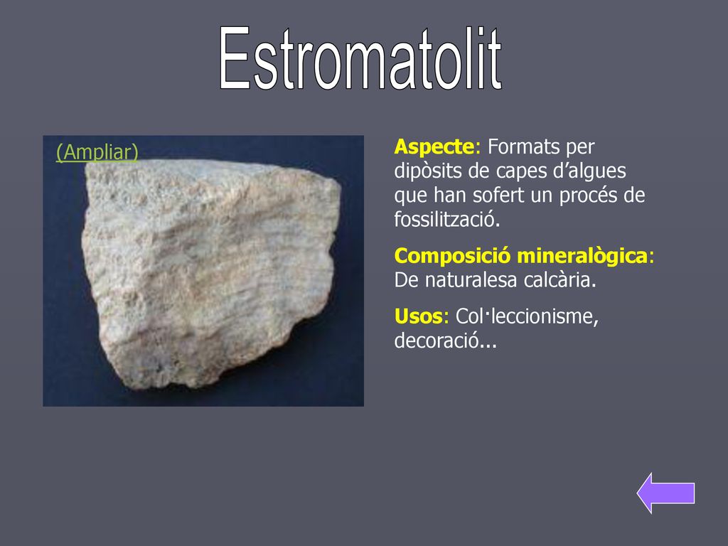 Estromatolit Aspecte: Formats per dipòsits de capes d’algues que han sofert un procés de fossilització.