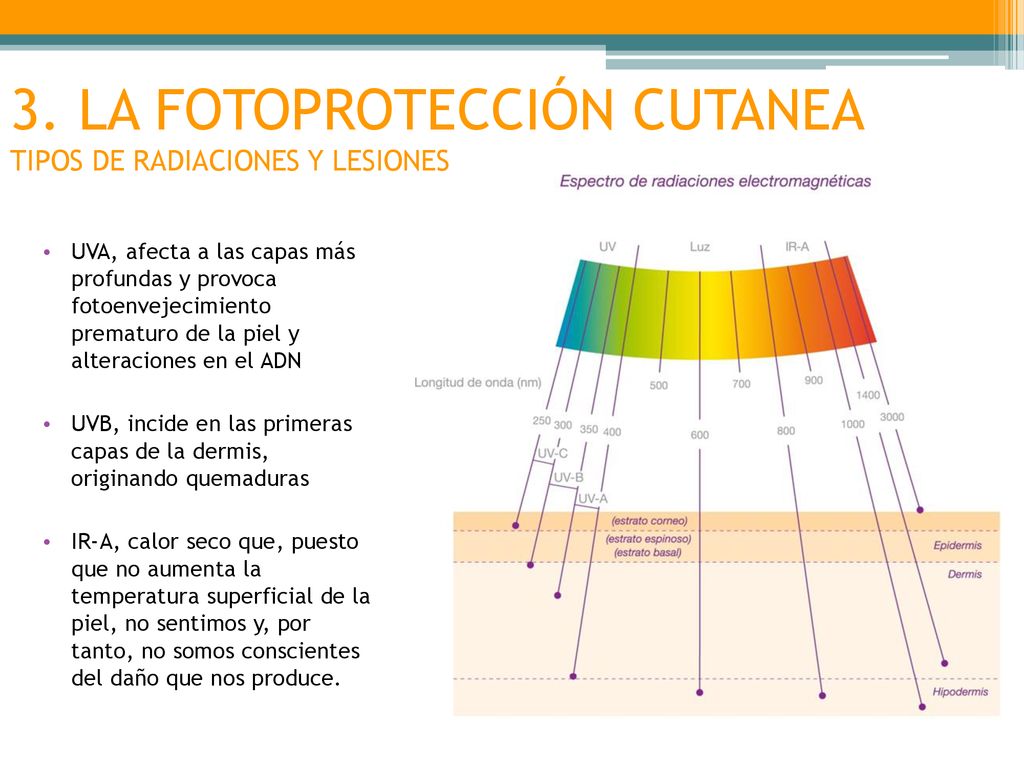 3. LA FOTOPROTECCIÓN CUTANEA TIPOS DE RADIACIONES Y LESIONES