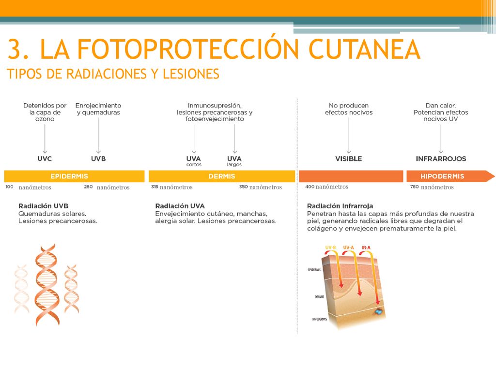 3. LA FOTOPROTECCIÓN CUTANEA TIPOS DE RADIACIONES Y LESIONES