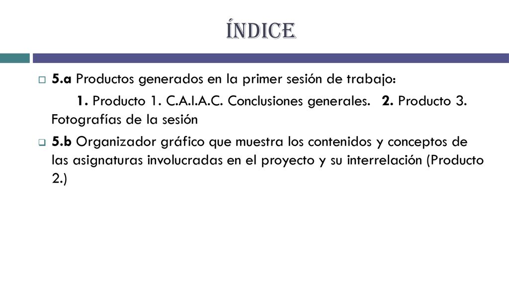 ÍNDICE 5.a Productos generados en la primer sesión de trabajo: