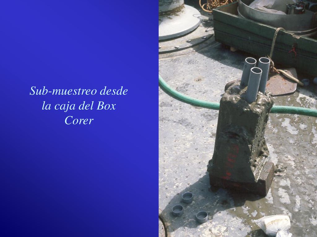Sub-muestreo desde la caja del Box Corer