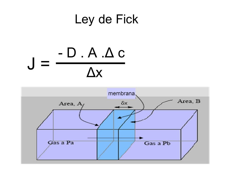 Ley de Fick - D . A .Δ c Δx J = membrana