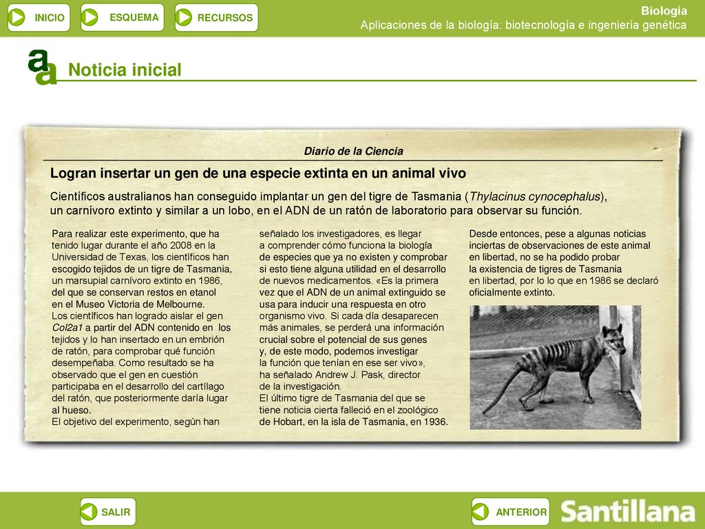 Noticia inicial Diario de la Ciencia. Logran insertar un gen de una especie extinta en un animal vivo.