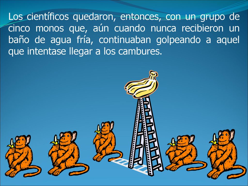 Los científicos quedaron, entonces, con un grupo de cinco monos que, aún cuando nunca recibieron un baño de agua fría, continuaban golpeando a aquel que intentase llegar a los cambures.
