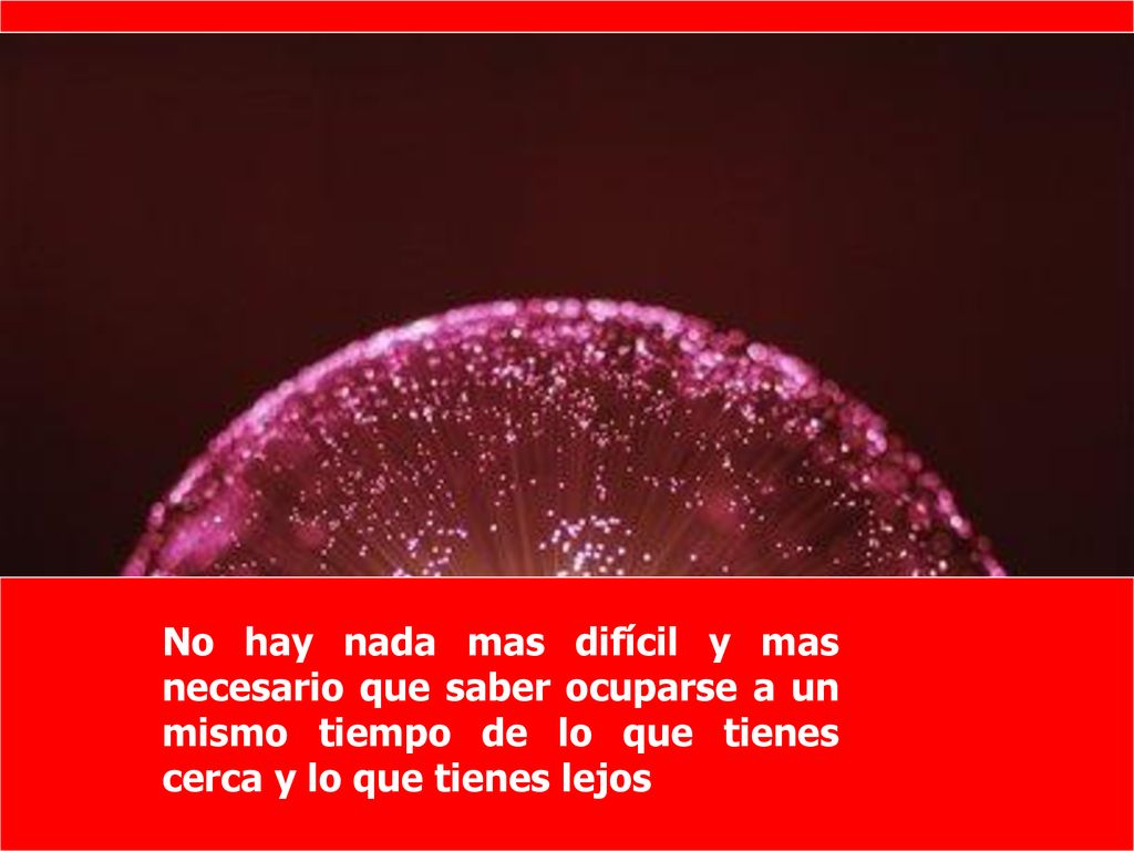 No hay nada mas difícil y mas necesario que saber ocuparse a un mismo tiempo de lo que tienes cerca y lo que tienes lejos