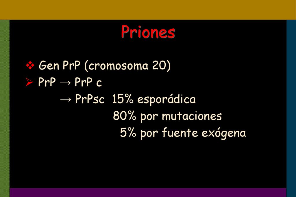 Priones Gen PrP (cromosoma 20) PrP → PrP c → PrPsc 15% esporádica