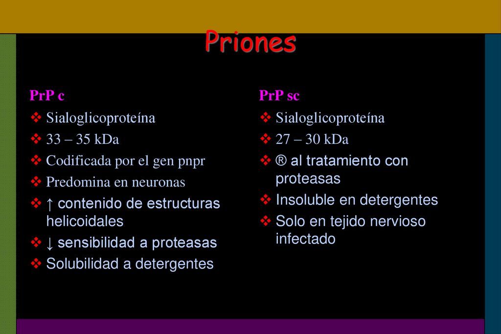 Priones PrP c PrP sc Sialoglicoproteína 33 – 35 kDa