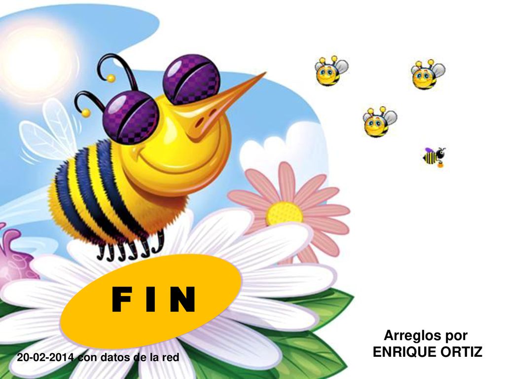 F I N Arreglos por ENRIQUE ORTIZ con datos de la red