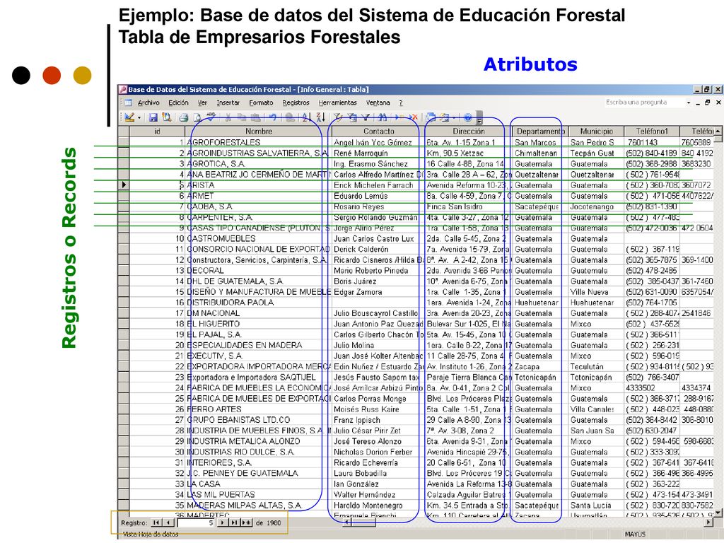 Ejemplo: Base de datos del Sistema de Educación Forestal