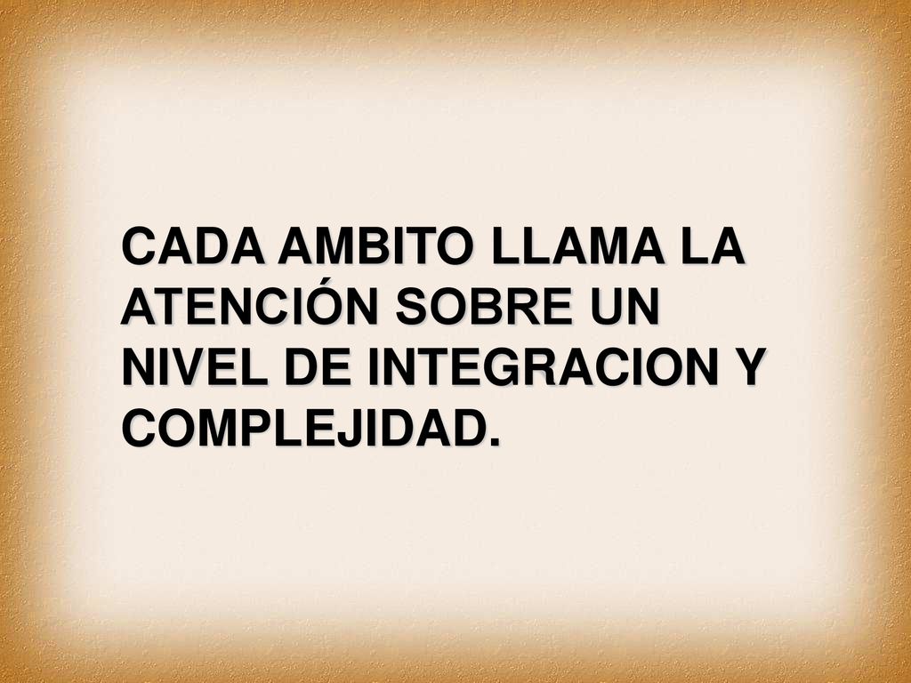 CADA AMBITO LLAMA LA ATENCIÓN SOBRE UN NIVEL DE INTEGRACION Y COMPLEJIDAD.