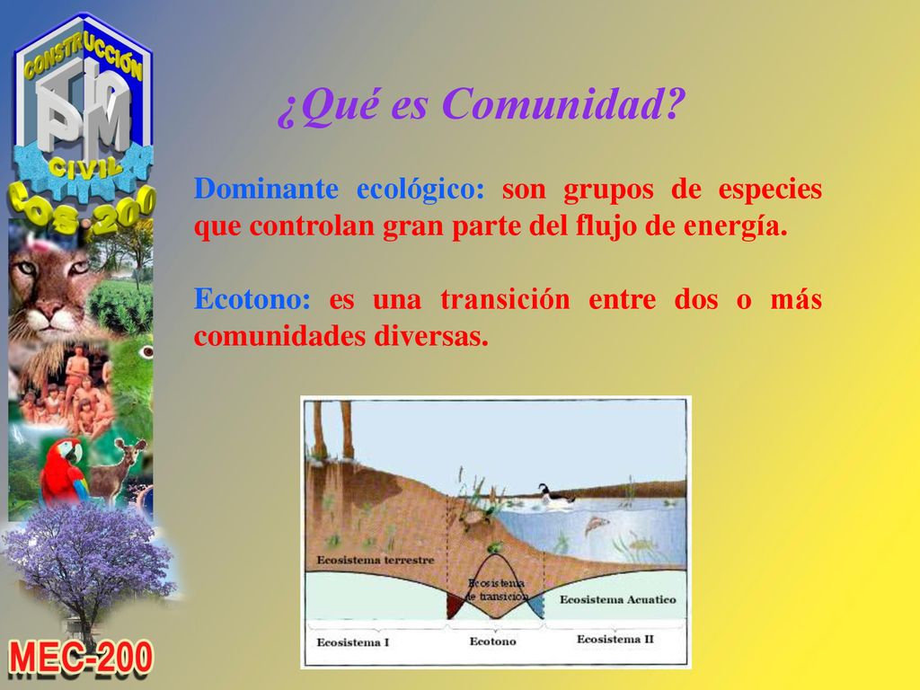 ¿Qué es Comunidad Dominante ecológico: son grupos de especies que controlan gran parte del flujo de energía.