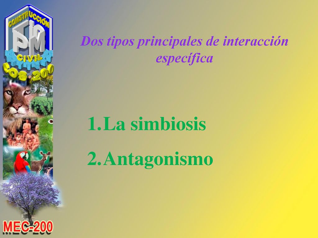 Dos tipos principales de interacción específica