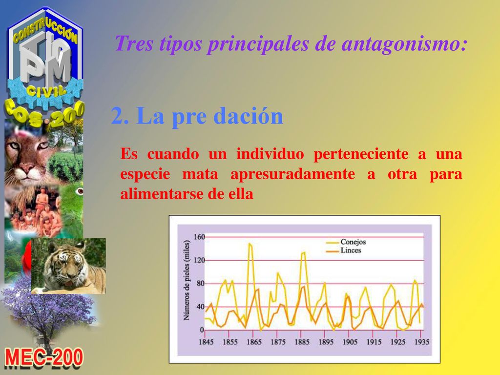 Tres tipos principales de antagonismo: