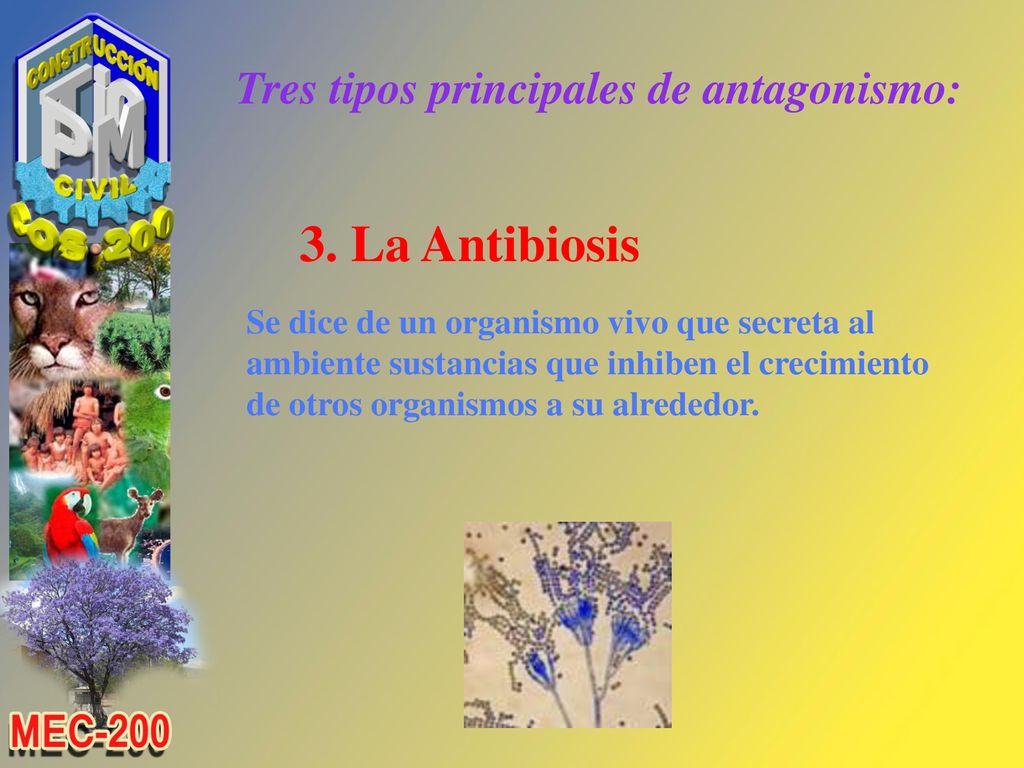 Tres tipos principales de antagonismo: