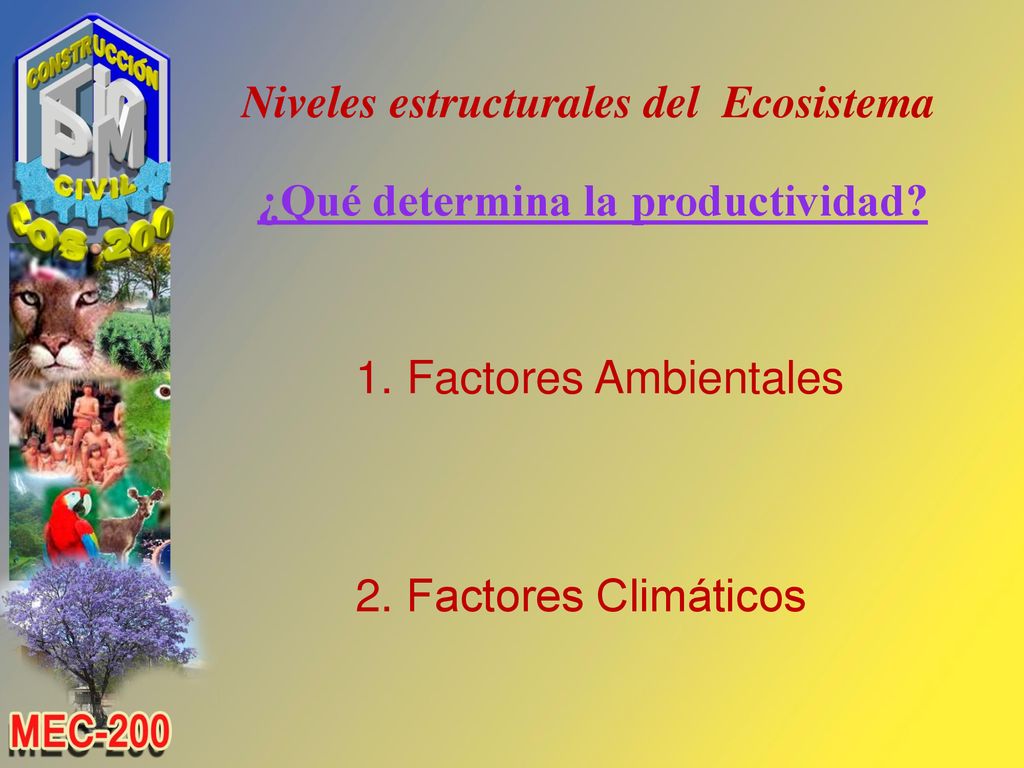 Niveles estructurales del Ecosistema ¿Qué determina la productividad