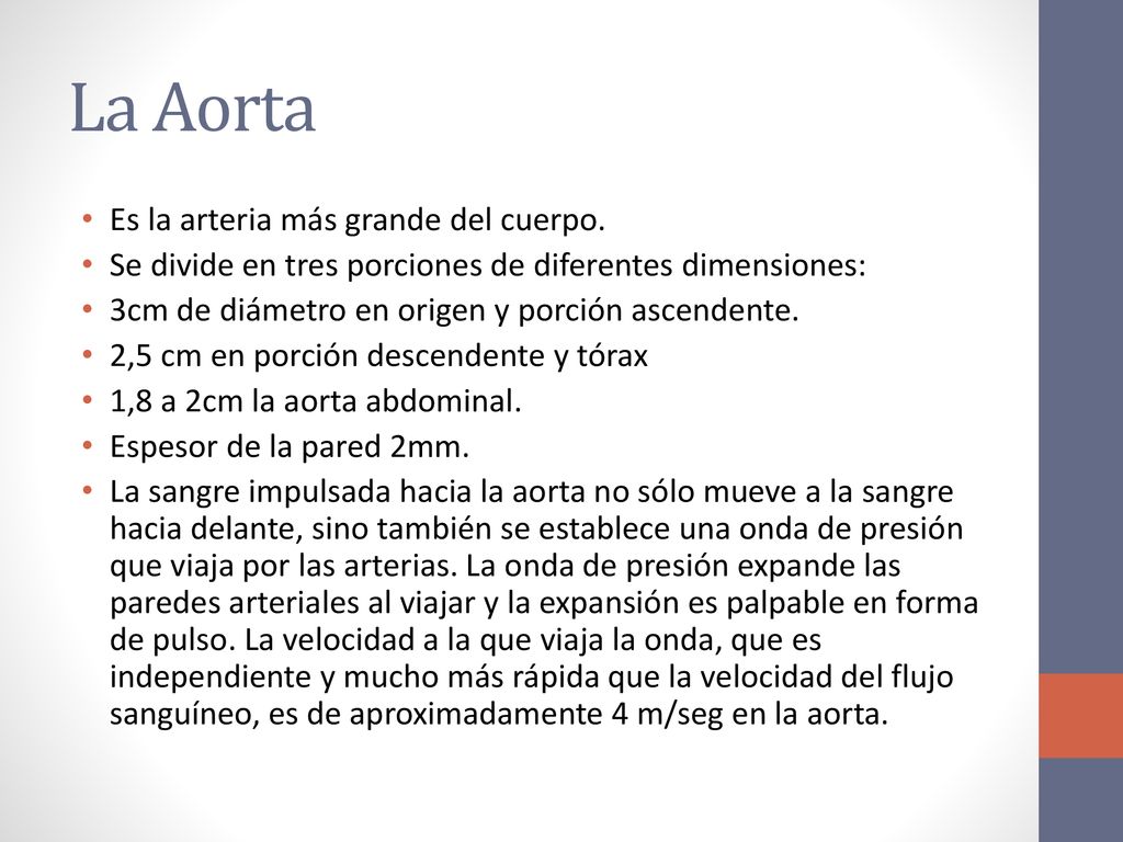 La Aorta Es la arteria más grande del cuerpo.
