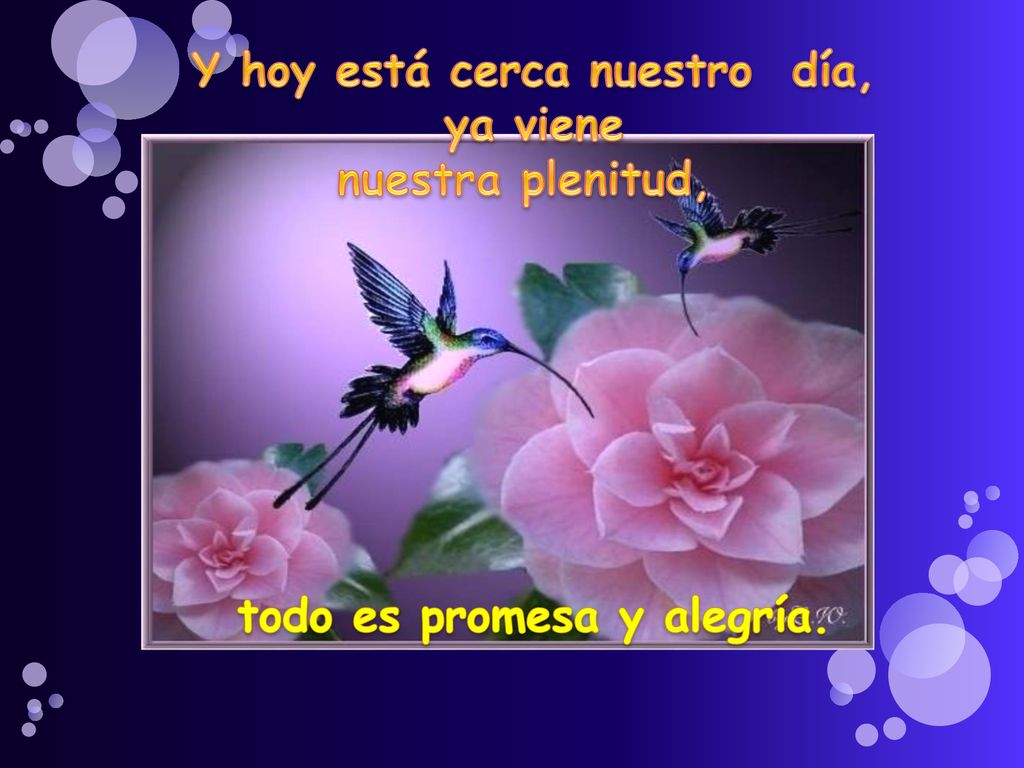 Y hoy está cerca nuestro día, todo es promesa y alegría.