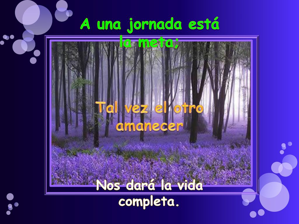 A una jornada está la meta; Tal vez el otro amanecer