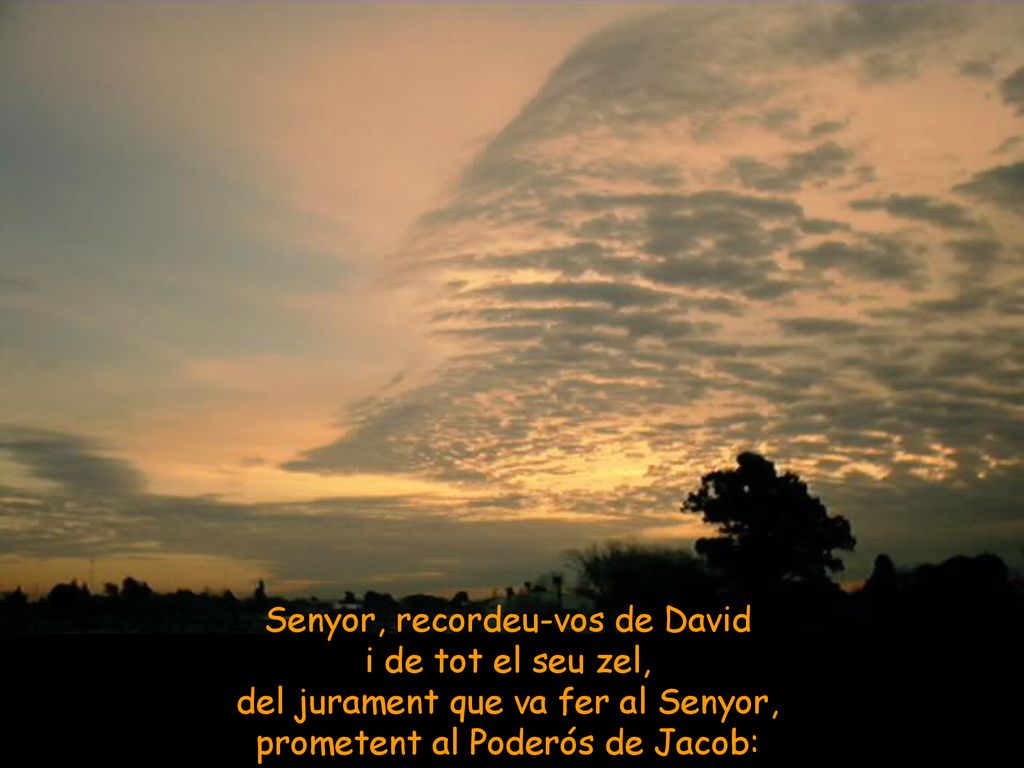 Senyor, recordeu-vos de David i de tot el seu zel,