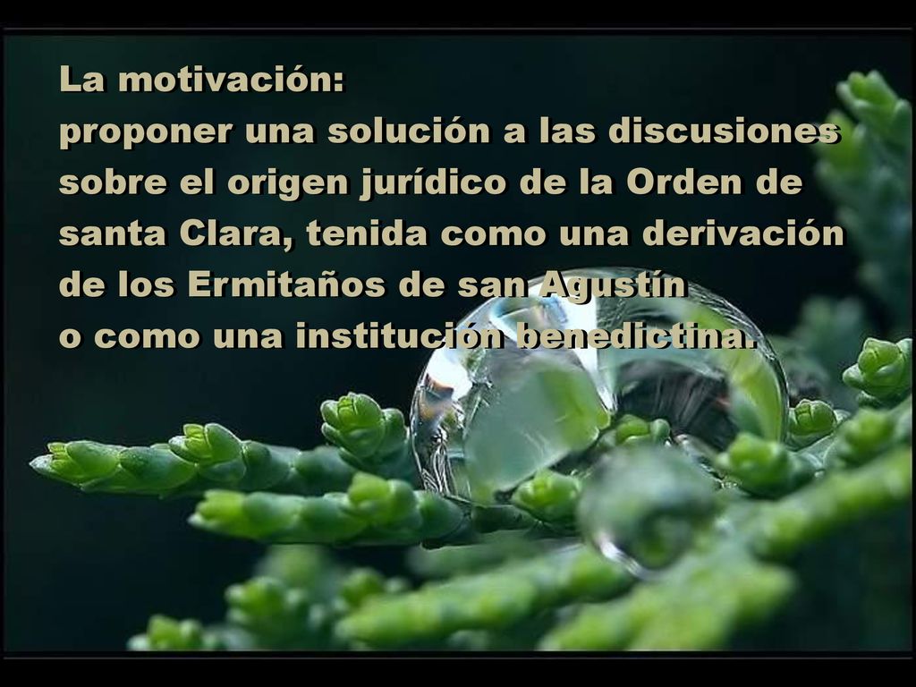 La motivación: proponer una solución a las discusiones. sobre el origen jurídico de la Orden de santa Clara, tenida como una derivación.