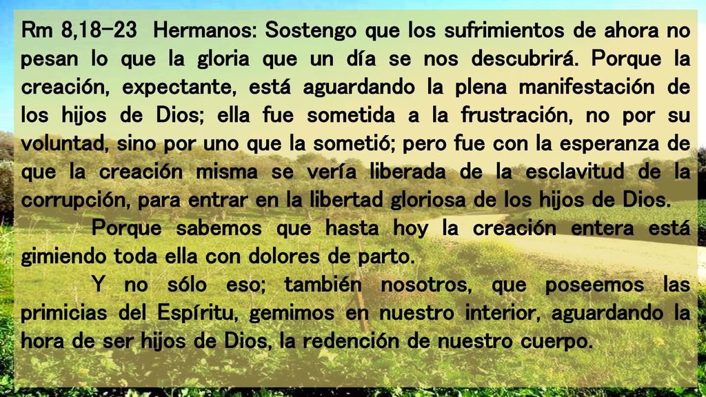 Rm 8,18-23 Hermanos: Sostengo que los sufrimientos de ahora no pesan lo que la gloria que un día se nos descubrirá. Porque la creación, expectante, está aguardando la plena manifestación de los hijos de Dios; ella fue sometida a la frustración, no por su voluntad, sino por uno que la sometió; pero fue con la esperanza de que la creación misma se vería liberada de la esclavitud de la corrupción, para entrar en la libertad gloriosa de los hijos de Dios.
