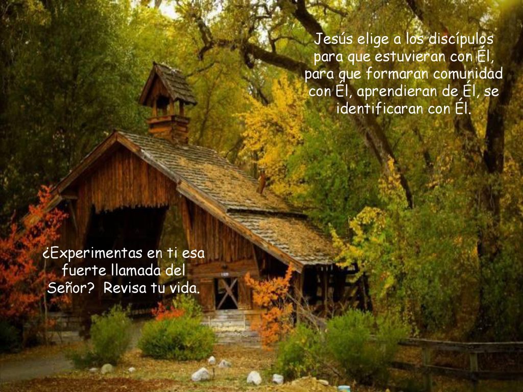 ¿Experimentas en ti esa fuerte llamada del Señor Revisa tu vida.
