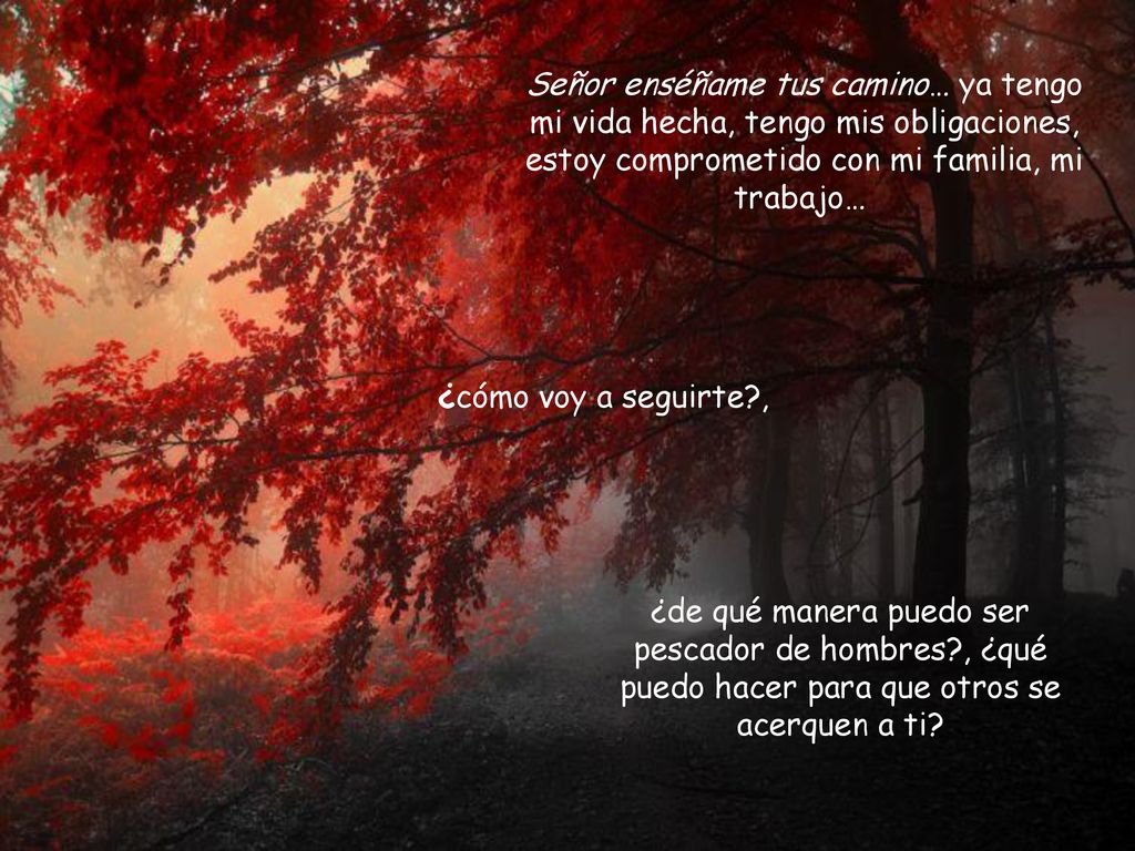 Señor enséñame tus camino… ya tengo mi vida hecha, tengo mis obligaciones, estoy comprometido con mi familia, mi trabajo…