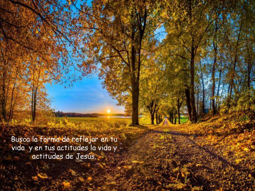 Busca la forma de reflejar en tu vida y en tus actitudes la vida y actitudes de Jesús.