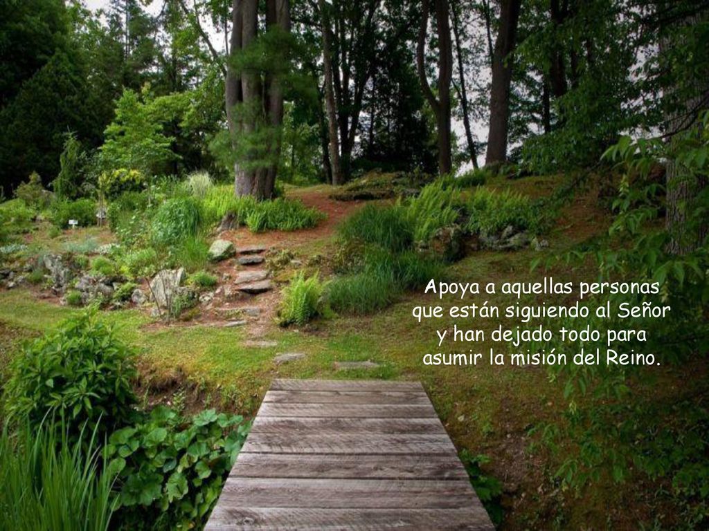 Apoya a aquellas personas que están siguiendo al Señor y han dejado todo para asumir la misión del Reino.
