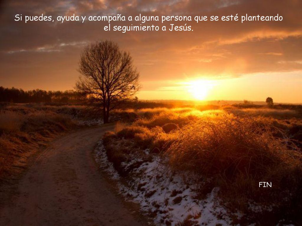 Si puedes, ayuda y acompaña a alguna persona que se esté planteando el seguimiento a Jesús.