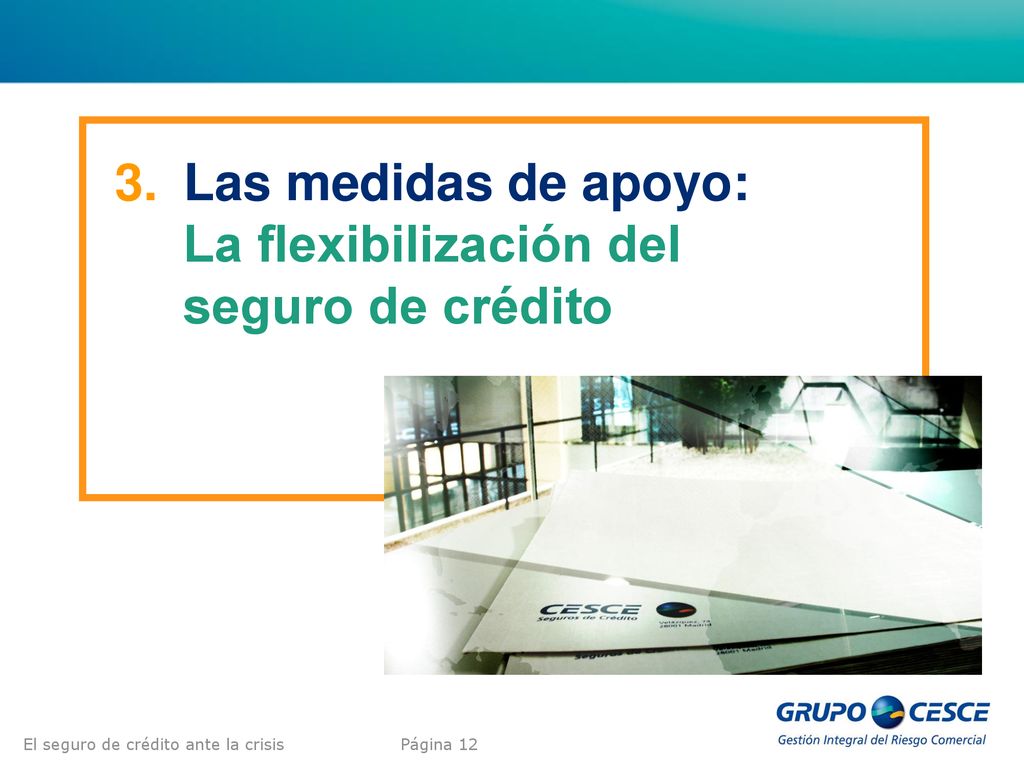 Las medidas de apoyo: La flexibilización del seguro de crédito
