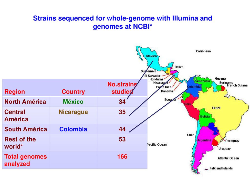 Strains sequenced for whole-genome with Illumina and genomes at NCBI*